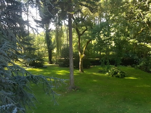 Een vredig bebost gebied met een gazen pad, bomen en een bankje.