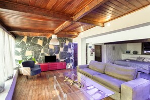 Una sala moderna con pared de piedra, techo de madera, un sofá, una silla, un televisor y una cama al fondo.