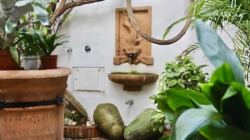 Detalle del exterior