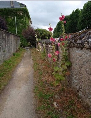 Property grounds - Studio Apartment 'Lisaline 2' with Wi-Fi (Saint-Dyé-sur-Loire)