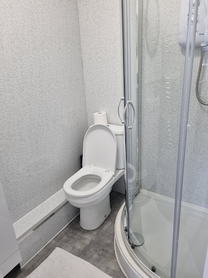 Uma casa de banho moderna com sanita, cabine de duche e porta de vidro.