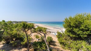 Una spiaggia con vista libera sul mare, circondata da alberi.