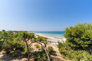 Une plage offrant une vue dégagée sur la mer, entourée d’arbres.
