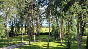 Metsäinen alue, jossa on sorapohjainen polku.