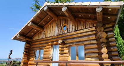 Chalet de rêve en rondins avec spa et cuisine d'été