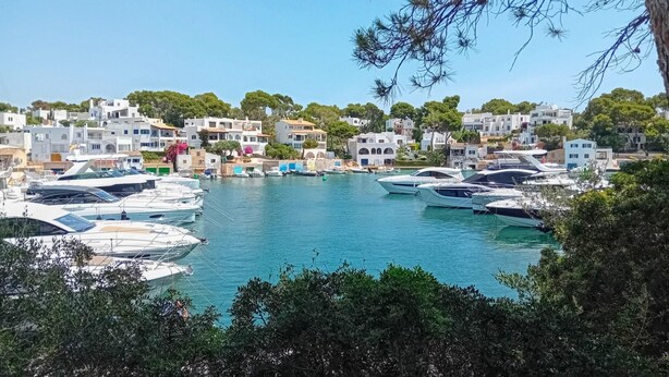 Un puerto deportivo con barcos amarrados, rodeado de edificios blancos y vegetación.