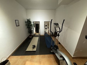 A home gym with exercise equipment, a yoga mat, and a potted plant.