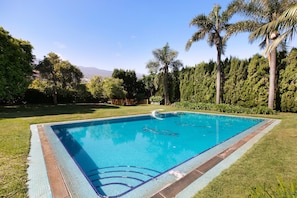Una piscina rectangular con borde de azulejos, rodeada de césped y palmeras.