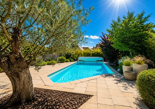 Le Vogelgarten – Villa Between Vineyards and Birdsongs