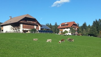 Exterieur