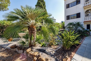 A landscaped garden with palm trees, a stone pathway, and a building with multiple windows and balconies.