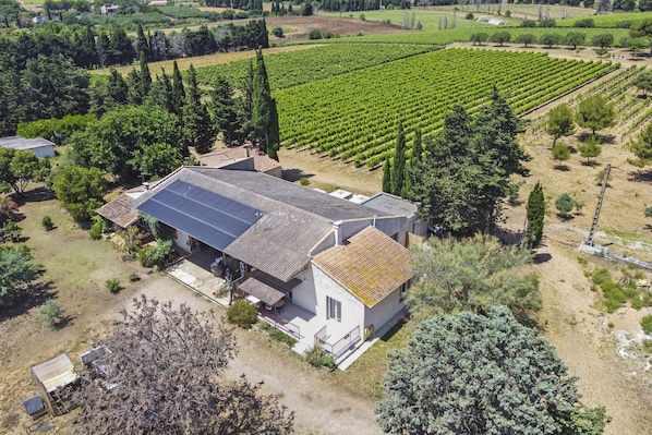 Un edificio grande con techo inclinado, rodeado por un viñedo y una estructura separada con paneles solares.