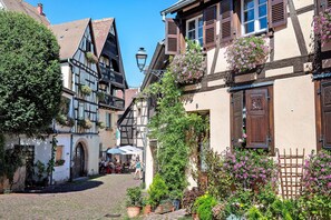 Una estrecha calle adoquinada flanqueada por casas tradicionales de entramado, algunas con macetas y plantas.