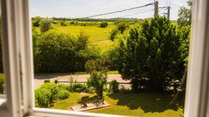 Vista a través de una ventana que muestra un paisaje rural con campos, árboles y una línea eléctrica.