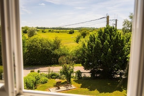 Blick durch ein Fenster auf eine ländliche Landschaft mit Feldern, Bäumen und einer Stromleitung.