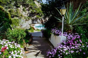 A pathway leading to a cliffside with a view of the ocean, surrounded by lush greenery and flowering plants.