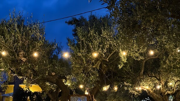 Ambiente esterno con alberi, luci a stringa e un tavolo con sedie.