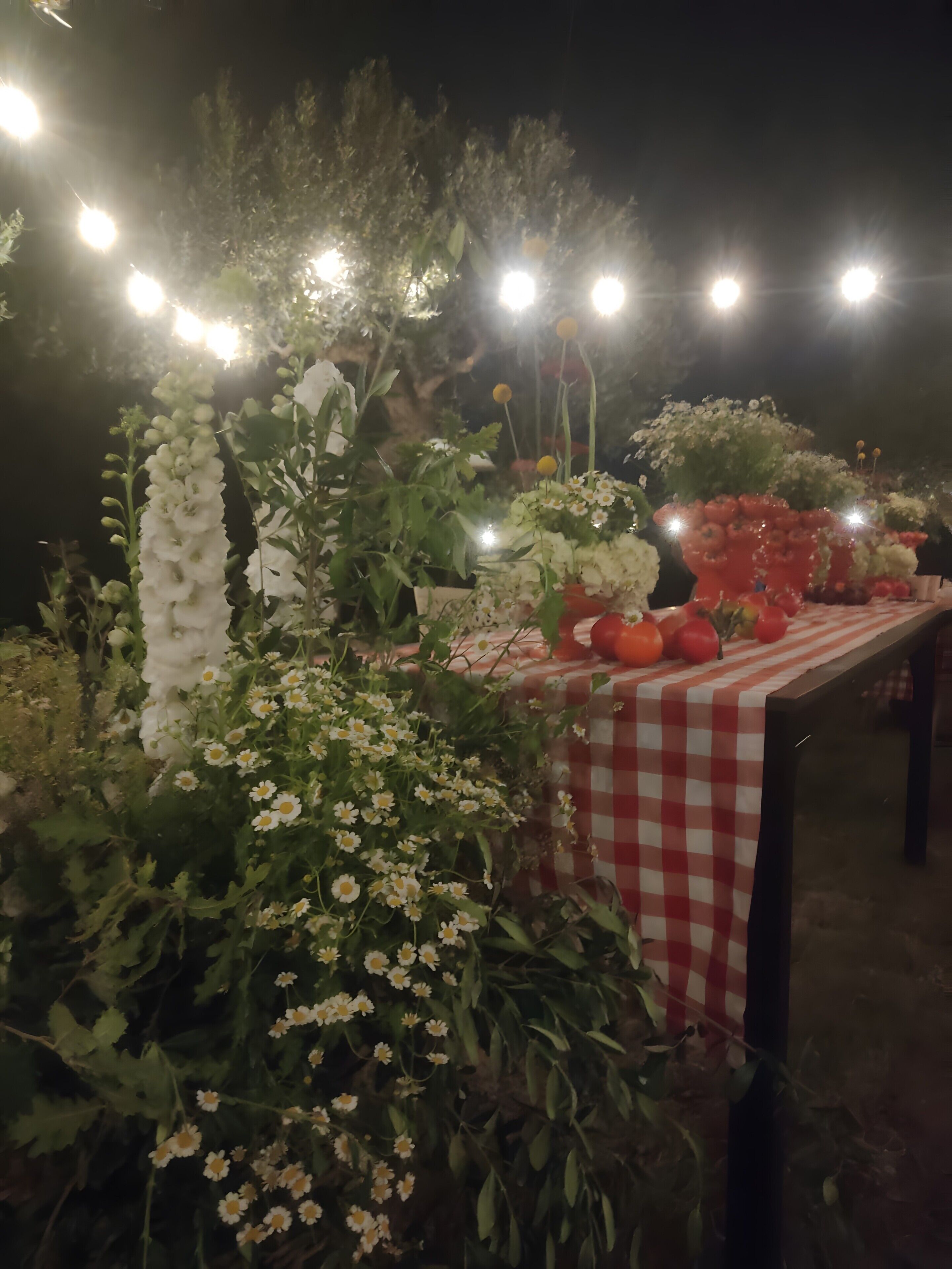 A table with a checkered tablecloth, surrounded by various plants and flowers.