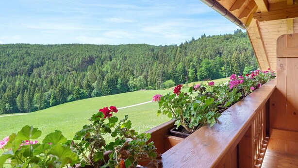 A wooden balcony with potted plants and a view of a green field and forested hill. - Apartment “Morgenrot” with Mountain View, Shared Terrace, and Wi-Fi (Ritten)