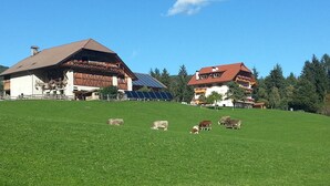 A rural landscape with a barn, a house with solar panels, and grazing cows on a green field. - Apartment “Morgenrot” with Mountain View, Shared Terrace, and Wi-Fi (Ritten)