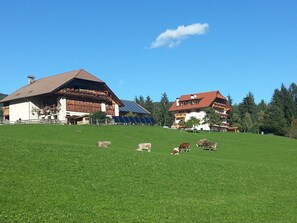 Paisaje rural con un granero, una casa con paneles solares y vacas pastando en un campo verde.