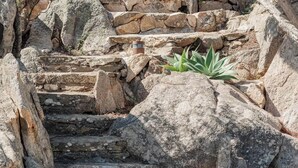 Eine Steintreppe, umgeben von großen Felsen und einem kleinen Topfpflanze.