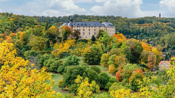 Een groot, historisch gebouw omringd door weelderige bomen met herfstkleuren.