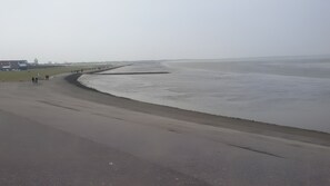 A beach with a sandy shore and a few people walking along the water's edge. - Holiday Apartment Deichmuschel - II Upper Floor (Norden)