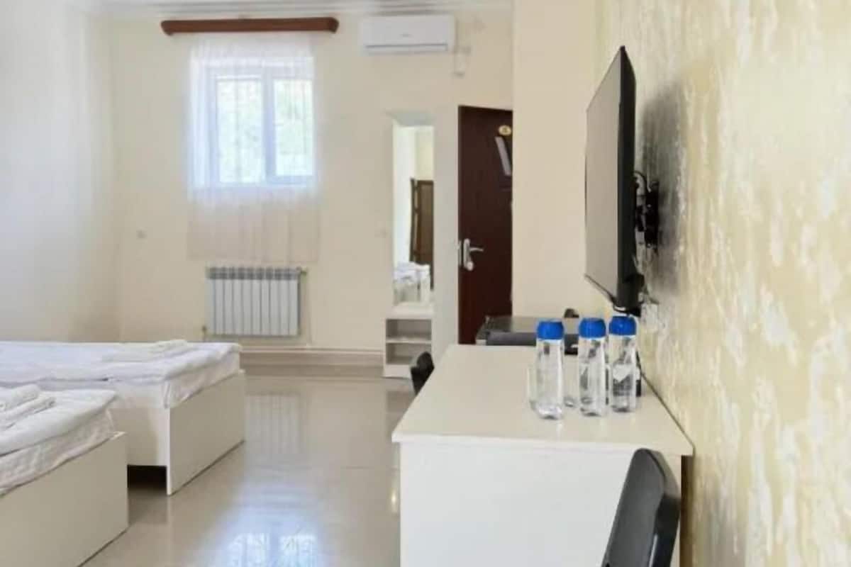Una habitación de hotel con una cama, un escritorio, un televisor y un radiador.