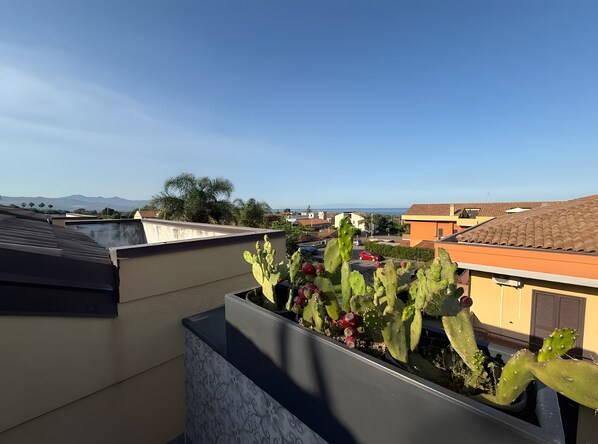 En takterrass med en planteringslåda full av kaktusar, en klar himmel och avlägsna berg i horisonten.