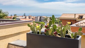 Una azotea con maceta de cactus, vistas de la ciudad y edificios al fondo.