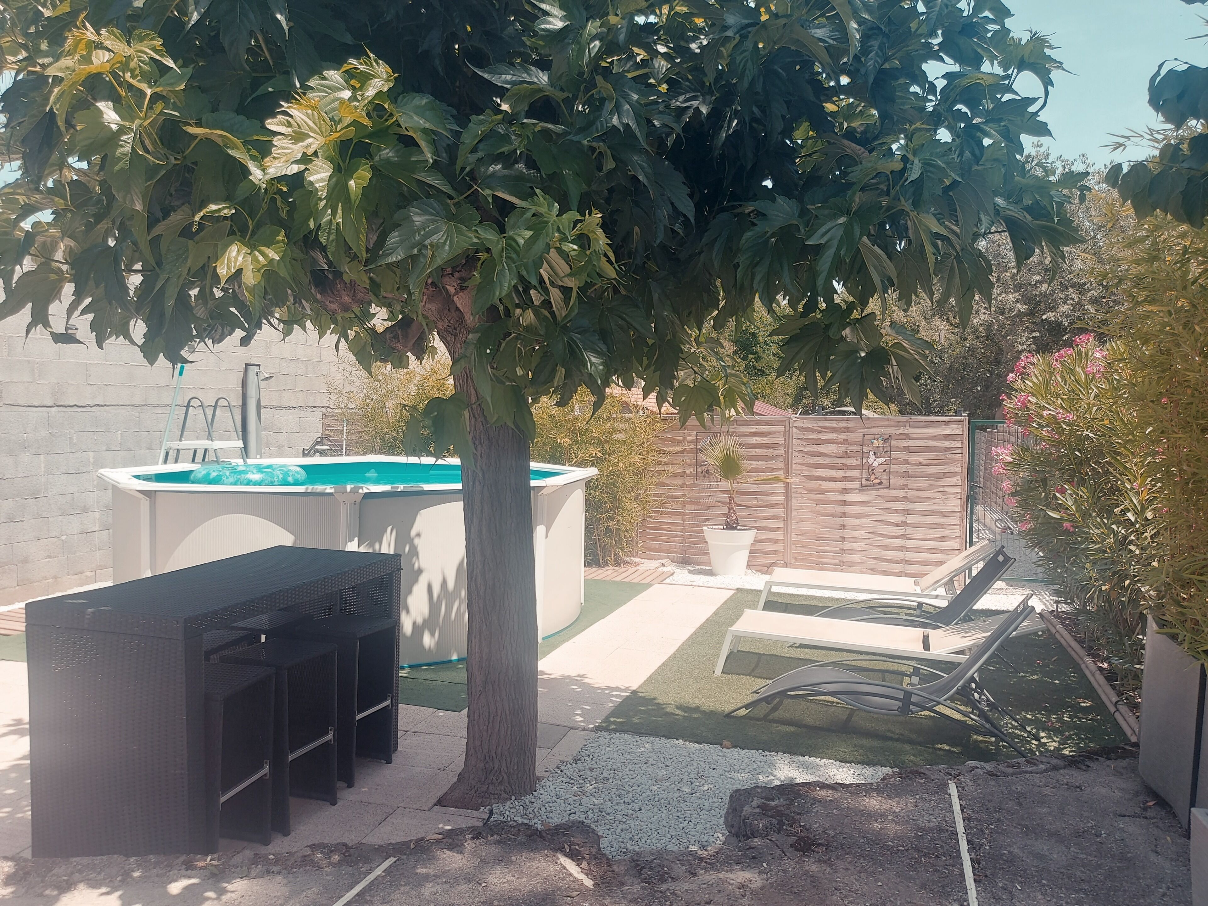 Un giardino sul retro con piscina, un albero, area barbecue e giardino recintato.