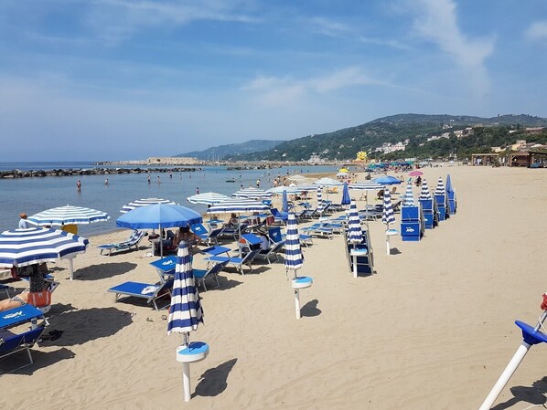 Uma praia com fileiras de guarda-sóis e cadeiras de praia azuis e brancas.