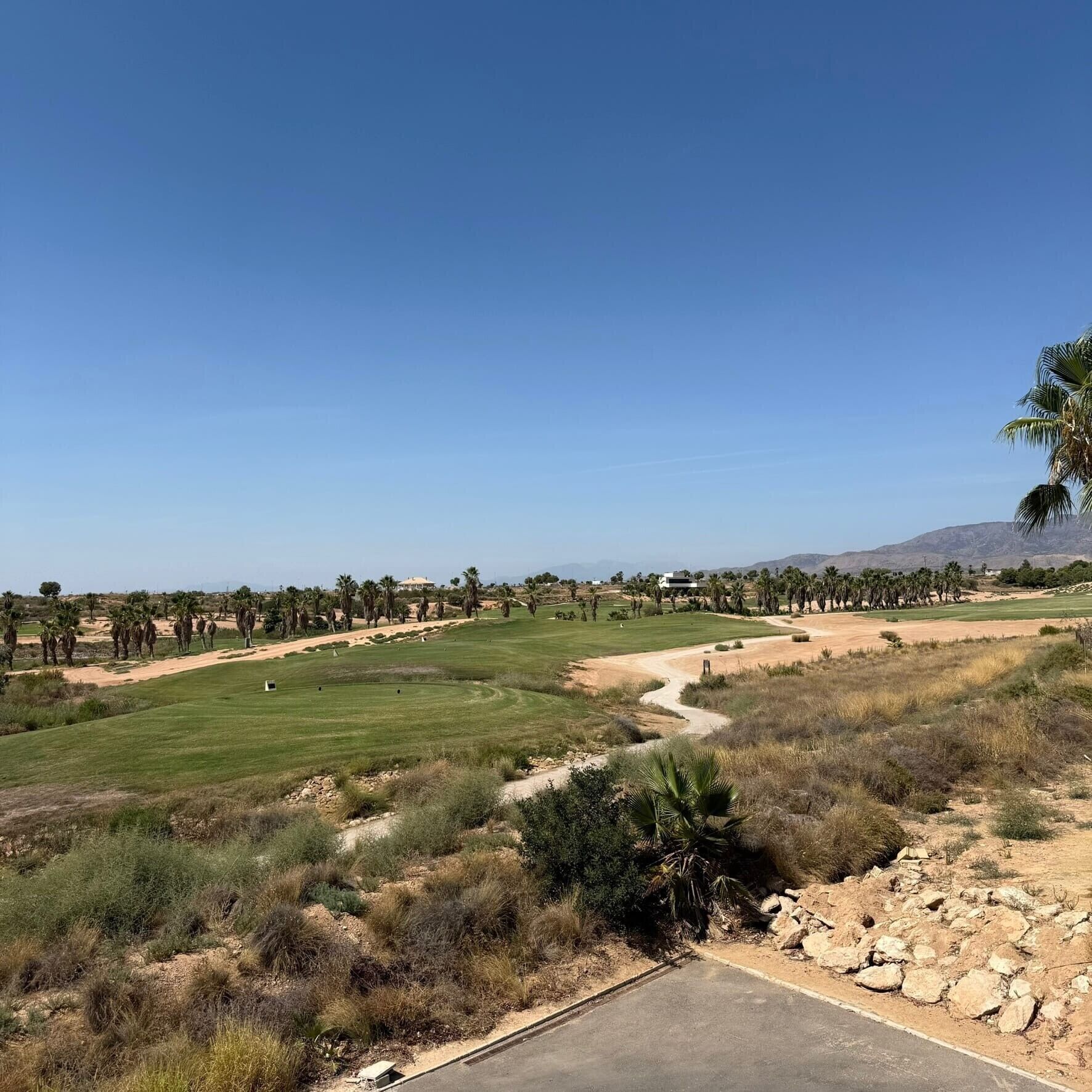 Un parcours de golf avec un ciel dégagé, des palmiers et des montagnes à l’horizon.