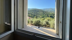 Una ventana con vista a una ladera boscosa.