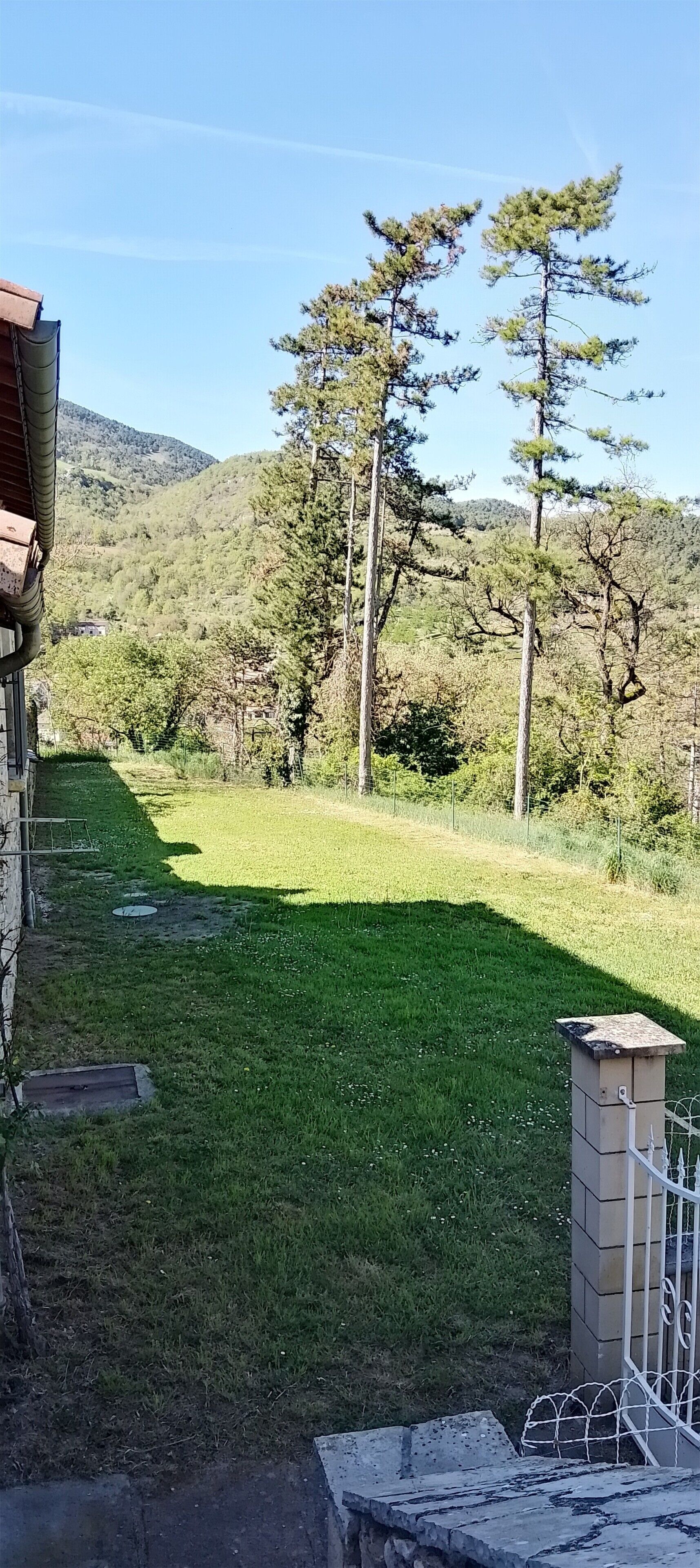 Un prato verdeggiante con alberi, un edificio e una recinzione in metallo.