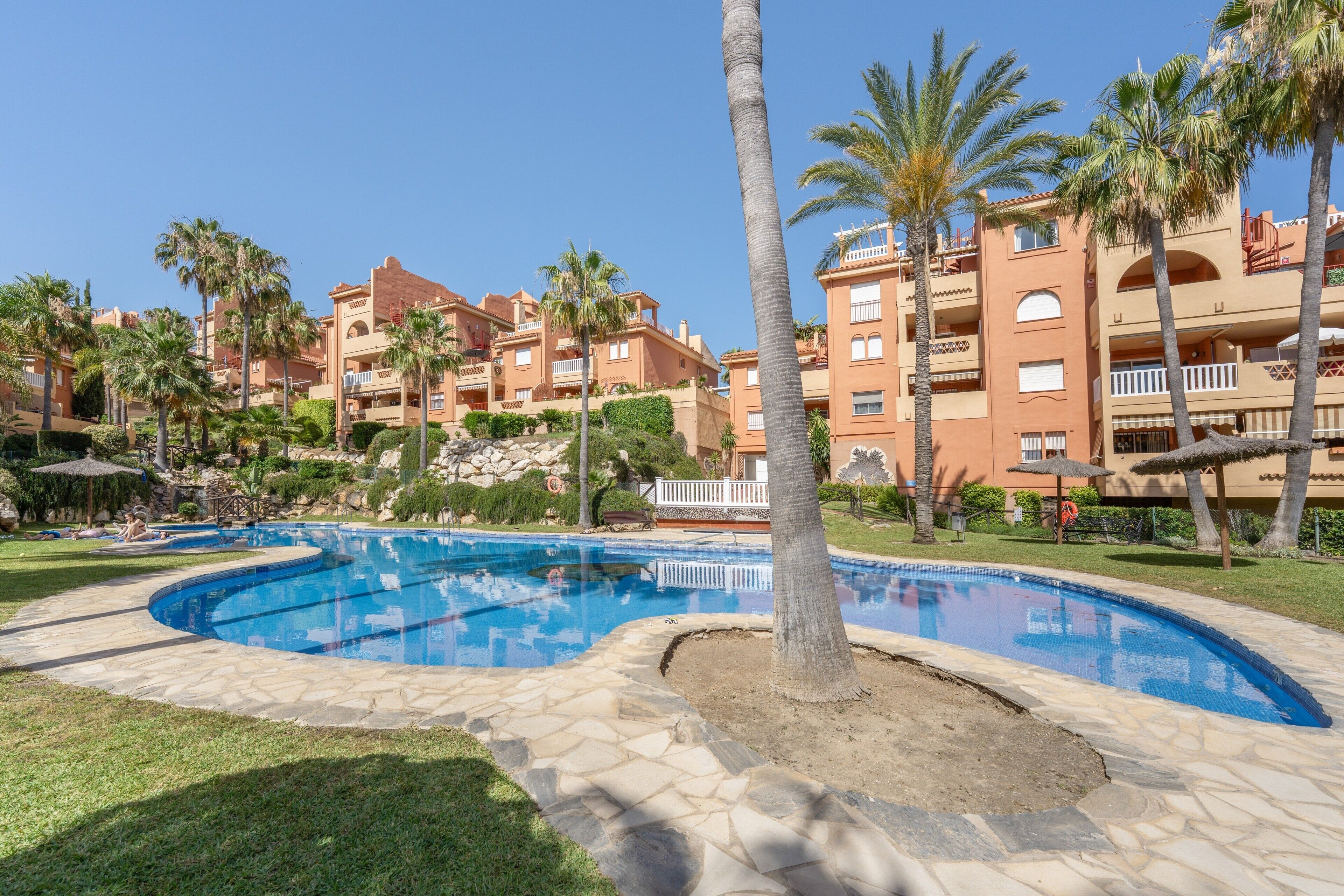 A pool area with a palm tree, a stone pathway, and a building with balconies and a red roof in the background.