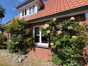 Una casa de maó amb teulada vermella, una finestra i un jardí ple de plantes amb flors.