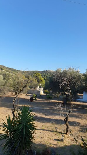 Paisagem seca e aberta, com vegetação escassa, céu azul límpido e colinas ao longe.