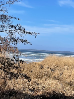 Eine Küstenlandschaft mit trockenem Gras und einem Ast.