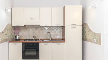 Fridge, stovetop, highchair, cookware/dishes/utensils