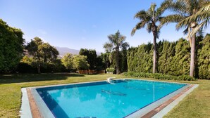 A rectangular swimming pool with a tiled edge, surrounded by grass and palm trees.