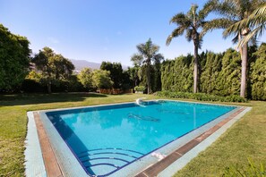 A rectangular swimming pool with a tiled edge, surrounded by grass and palm trees.