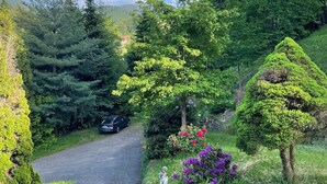 A narrow road flanked by lush greenery and a car parked on the side. - Apartment 'Rai Mattiss' with Mountain View, Private Terrace and Wi-Fi (Oberharmersbach)