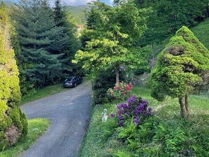 Property grounds - Apartment 'Rai Mattiss' with Mountain View, Private Terrace and Wi-Fi (Oberharmersbach)