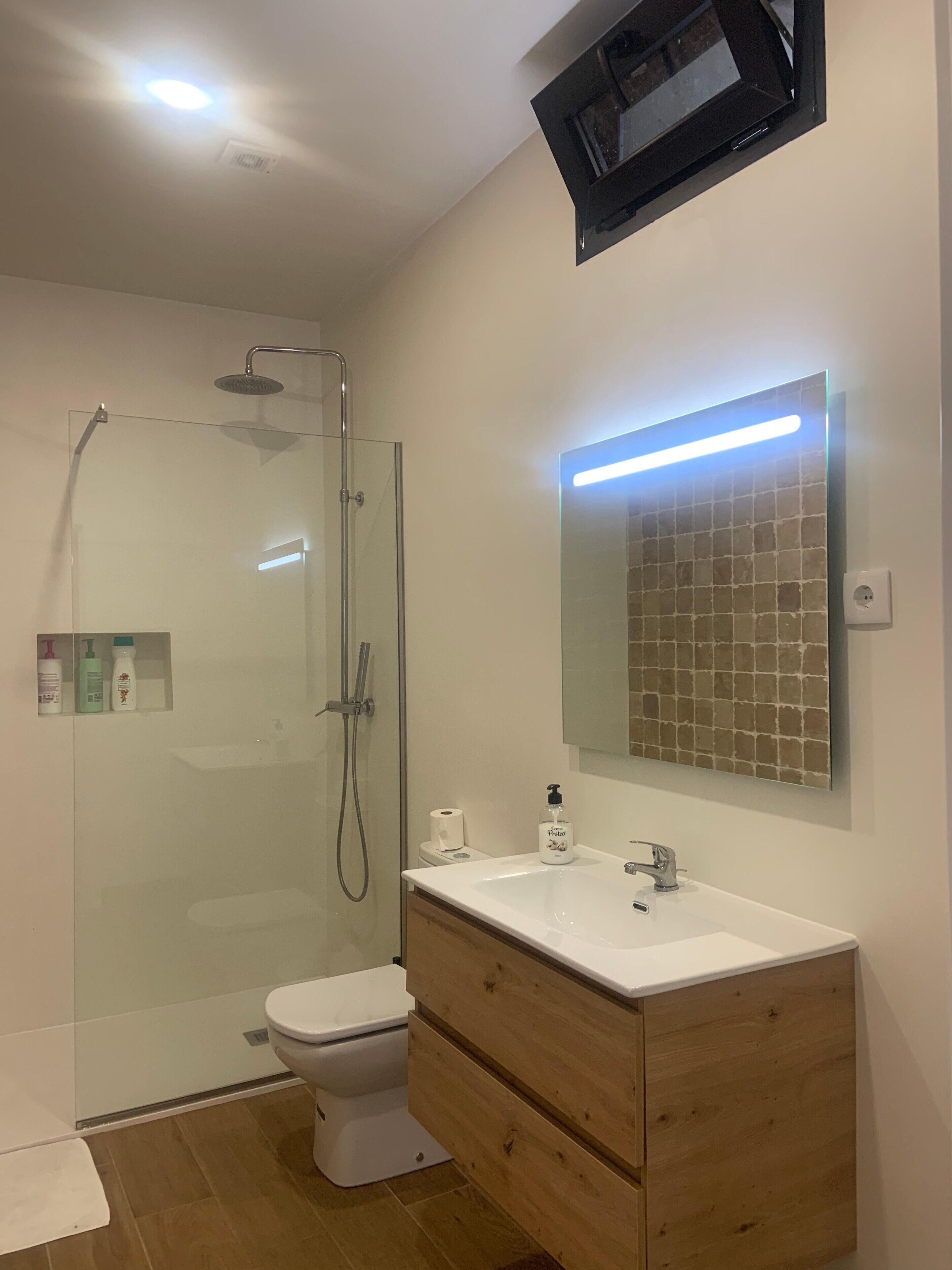 Shower, hair dryer, towels