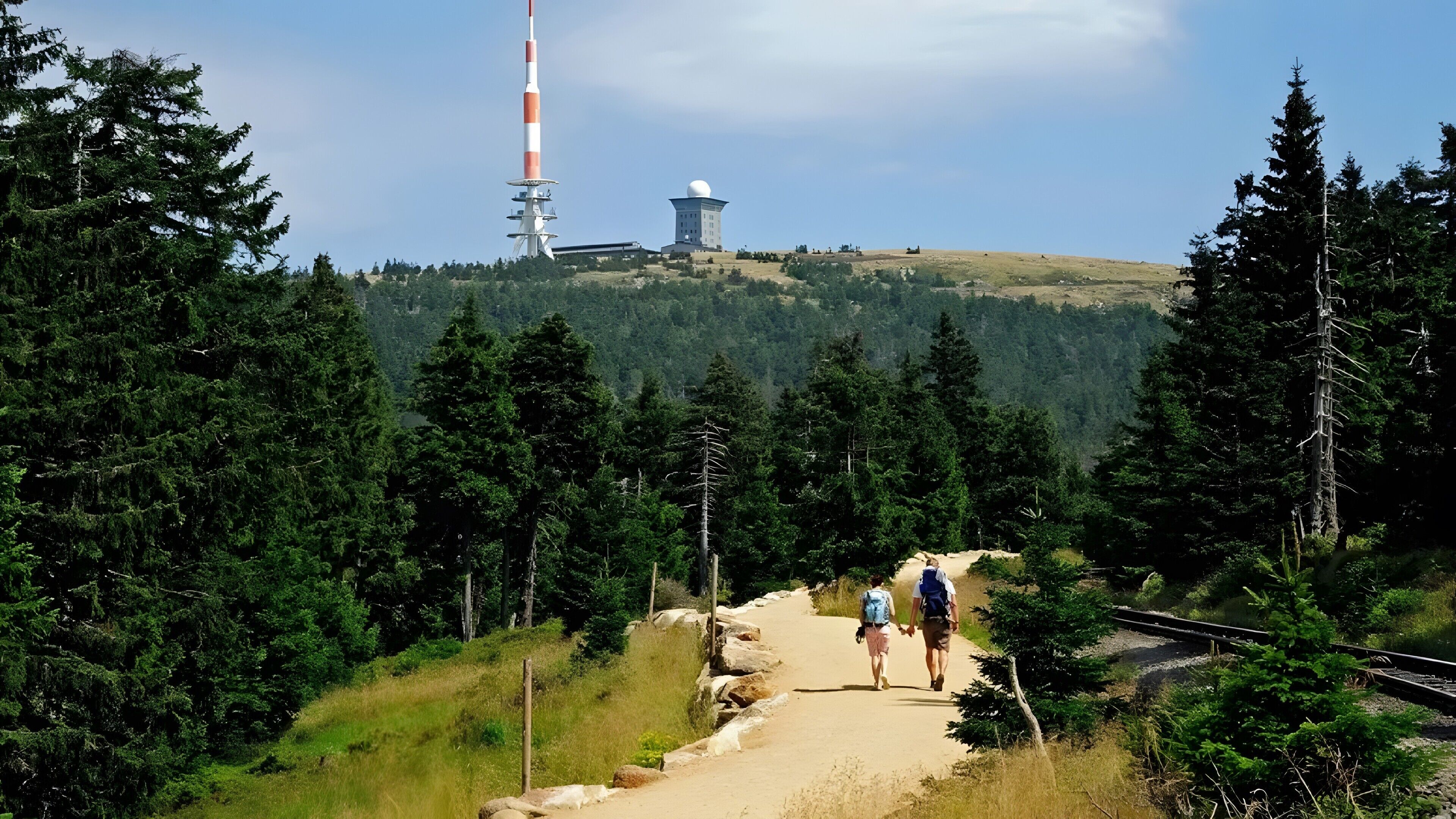A hiking trail with a person and a child walking, surrounded by dense forest and a distant communication tower.