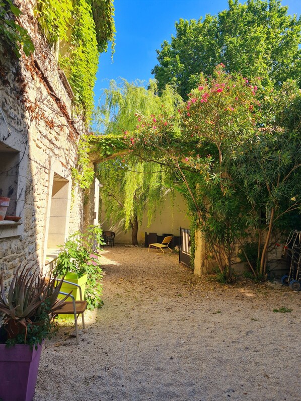 A courtyard with a gravel path, a chair, a potted plant, and a building with ivy.