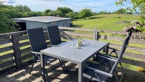 An outdoor patio with a table and chairs, a small shed, and a view of a grassy field and trees.