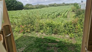 A view through a window of a field with crops and a building in the distance. - Mobile Home – 6 Guests with Shared Pool, Terrace, and Garden (Erdeven)
